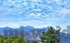 比分188足球比分直播-揭秘比分188，足球比分直播背后的数据狂欢与球迷狂欢